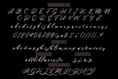 Winsberg Font by Garisman Studio — Script Handwritten Font — thumbnail 7