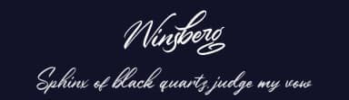 Winsberg by Garisman Studio — Script Handwritten Font — thumbnail 2