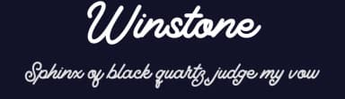 Winstone by Dealita Studio — Script Handwritten Font — thumbnail 2