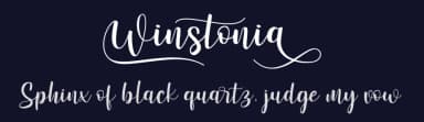 Winstonia by Madatype Studio — Script Handwritten Font — thumbnail 2