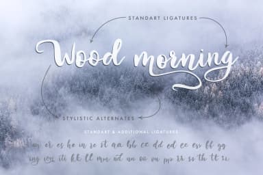 Winter Story Font by Red Ink — Script Handwritten Font — thumbnail 4