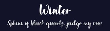 Winter by PiPi Creative STUDIO — Script Handwritten Font — thumbnail 2