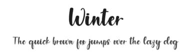 Winter by PiPi Creative STUDIO — Script Handwritten Font — thumbnail 1