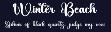 Winter Beach by Inermedia Studio — Script Handwritten Font — thumbnail 2