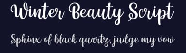 Winter Beauty Script by Letterflow Studio — Script Handwritten Font — thumbnail 2