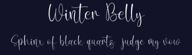 Winter Belly by Forberas Club — Script Handwritten Font — thumbnail 2