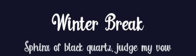 Winter Break by Supersemar Letter — Script Handwritten Font — thumbnail 2