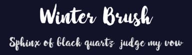 Winter Brush by Barland — Script Handwritten Font — thumbnail 2