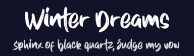 Winter Dreams by Figuree Studio — Script Handwritten Font — thumbnail 2