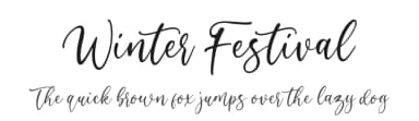 Winter Festival by Sronstudio — Script Handwritten Font — thumbnail 1