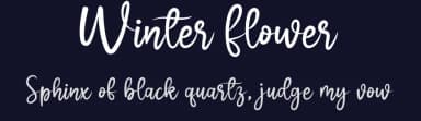 Winter Flower by Scratchones — Script Handwritten Font — thumbnail 2