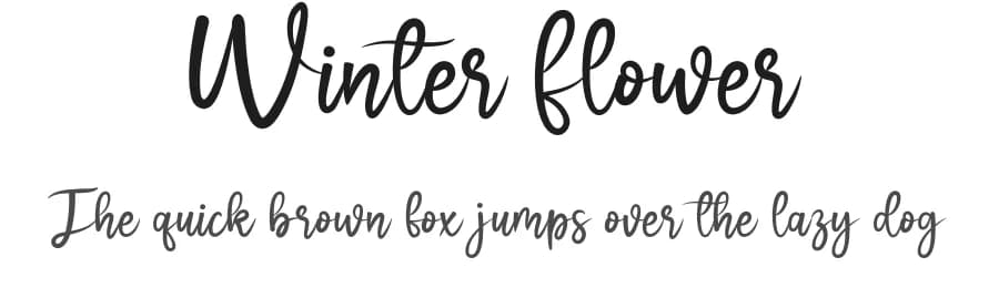 Winter Flower by Scratchones — Script Handwritten Font