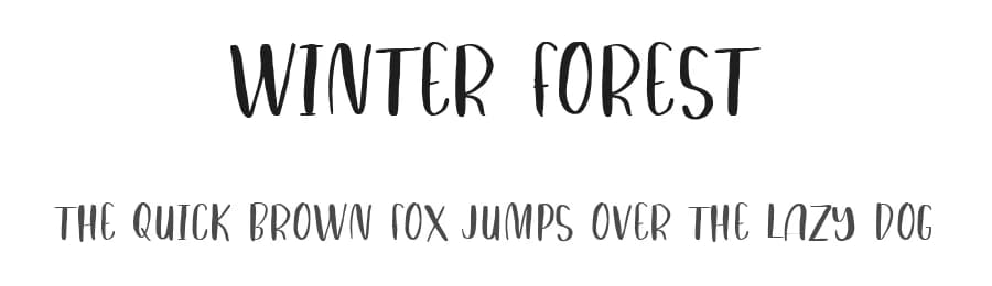 Winter Forest by Brithos Type — Script Handwritten Font