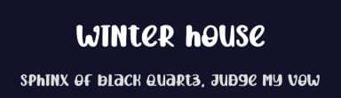 Winter House by Andi Moz — Script Handwritten Font — thumbnail 2