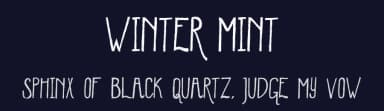 Winter Mint by Skyhaven Fonts — Script Handwritten Font — thumbnail 2