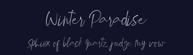 Winter Paradise by Wellscript Studio — Script Handwritten Font — thumbnail 2