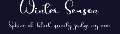 Winter Season by Erik Studio — Script Handwritten Font — thumbnail 2