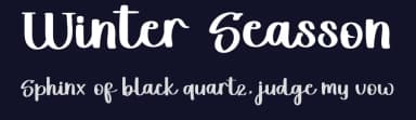 Winter Seasson by FreshtypeINK — Script Handwritten Font — thumbnail 2