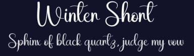Winter Short by Andi Moz — Script Handwritten Font — thumbnail 2