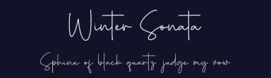 Winter Sonata by Alvaro Ariel — Script Handwritten Font — thumbnail 2