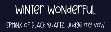 Winter Wonderful by Font Bundles — Script Handwritten Font — thumbnail 2