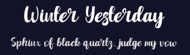 Winter Yesterday by Rvandtype — Script Handwritten Font — thumbnail 2
