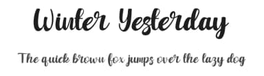 Winter Yesterday by Rvandtype — Script Handwritten Font — thumbnail 1