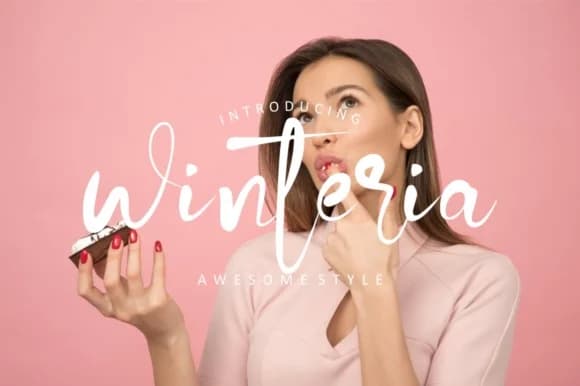 Winteria Font by typelinestudio — Script Handwritten Font