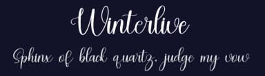 Winterlive by Inermedia Studio — Script Handwritten Font — thumbnail 2