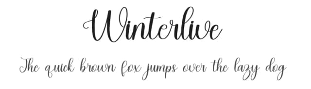 Winterlive by Inermedia Studio — Script Handwritten Font
