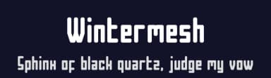 Wintermesh by Shanaya Studio — Sans Serif Font — thumbnail 2