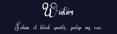 Winters by Eddy Goodboy — Script Handwritten Font — thumbnail 2