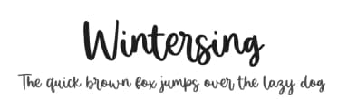 Wintersing by Sronstudio — Script Handwritten Font — thumbnail 1