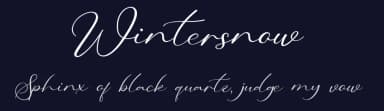 Wintersnow by Behind the Ink — Script Handwritten Font — thumbnail 2