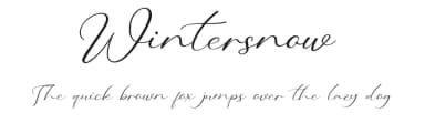 Wintersnow by Behind the Ink — Script Handwritten Font — thumbnail 1