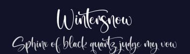 Wintersnow by Perspectype Studio - Letterena.com — Script Handwritten Font — thumbnail 2