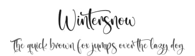 Wintersnow by Perspectype Studio - Letterena.com — Script Handwritten Font — thumbnail 1