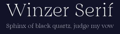 Winzer Serif by Måns Grebäck — Serif Font — thumbnail 2