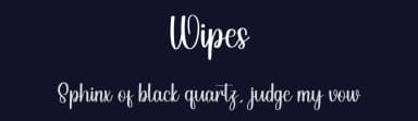 Wipes by PiPi Creative STUDIO — Script Handwritten Font — thumbnail 2