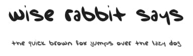 Wise Rabbit Says by Statica Productions — Script Handwritten Font — thumbnail 1