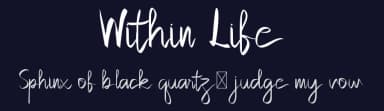 Within Life by Edric Studio — Script Handwritten Font — thumbnail 2