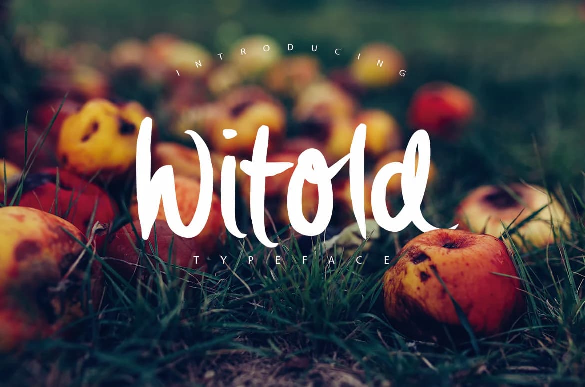 Witold Font by SmartDesigns — Script Handwritten Font