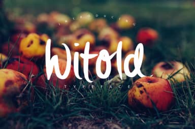 Witold Font by SmartDesigns — Script Handwritten Font — thumbnail 1