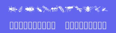 WM Insects by WillyMac — Dingbats Font — thumbnail 3