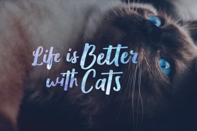 Wolesbro Font by locomotype — Script Handwritten Font — thumbnail 2