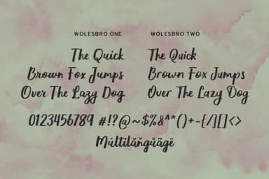 Wolesbro Font by locomotype — Script Handwritten Font — thumbnail 6