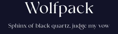Wolfpack by VampStudio — Serif Font — thumbnail 2