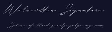 Wolvertton Signature by Katario Studio — Script Handwritten Font — thumbnail 2