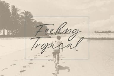 Wonder Bay Font by Balpirick — Script Handwritten Font — thumbnail 3