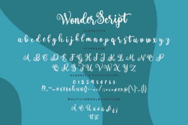 Wonder Script Font by CreatypeStudio — Script Handwritten Font — thumbnail 7